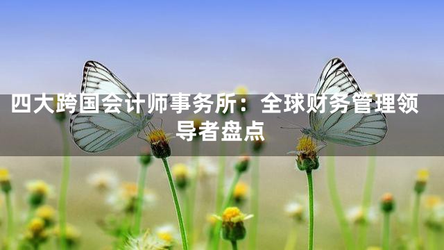 四大跨国会计师事务所：全球财务管理领导者盘点
