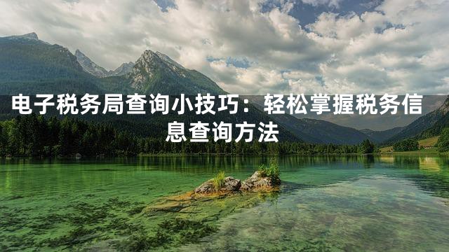 电子税务局查询小技巧：轻松掌握税务信息查询方法