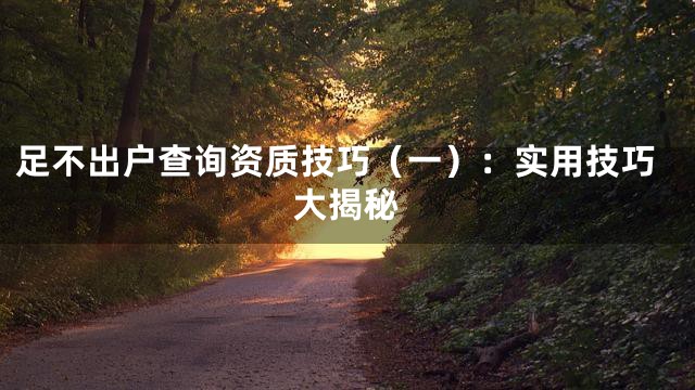 足不出户查询资质技巧（一）：实用技巧大揭秘