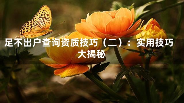 足不出户查询资质技巧（二）：实用技巧大揭秘