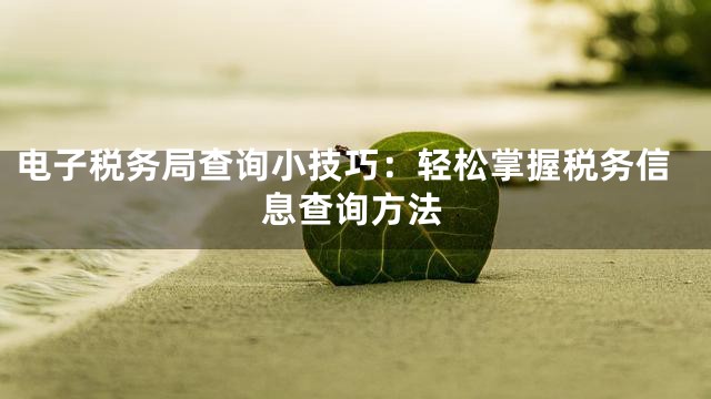 电子税务局查询小技巧：轻松掌握税务信息查询方法