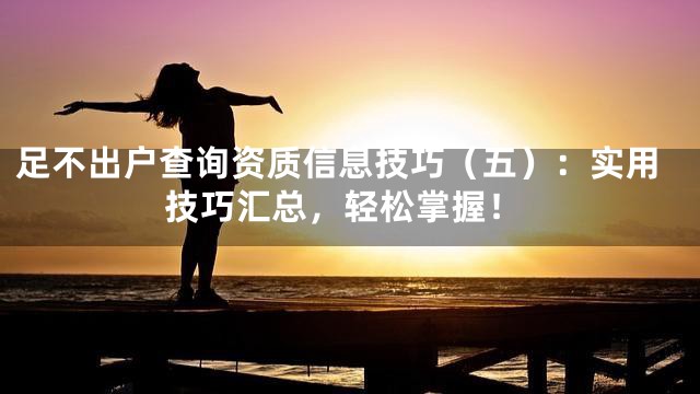 足不出户查询资质信息技巧（五）：实用技巧汇总，轻松掌握！