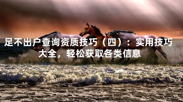 足不出户查询资质技巧（四）：实用技巧大全，轻松获取各类信息