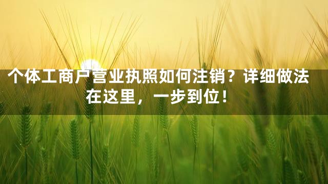 个体工商户营业执照如何注销？详细做法在这里，一步到位！