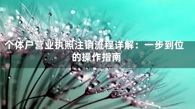 个体户营业执照注销流程详解：一步到位的操作指南