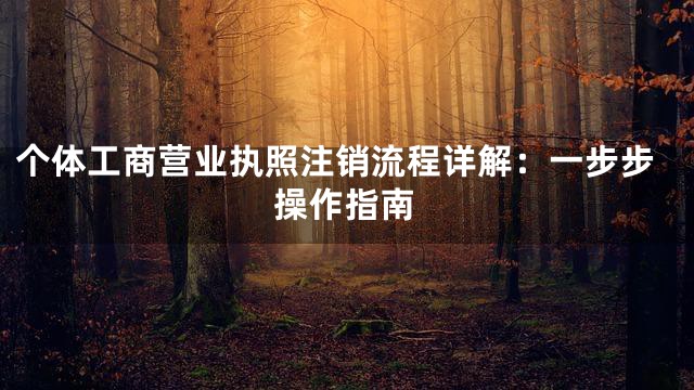 个体工商营业执照注销流程详解：一步步操作指南