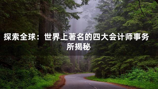 探索全球：世界上著名的四大会计师事务所揭秘