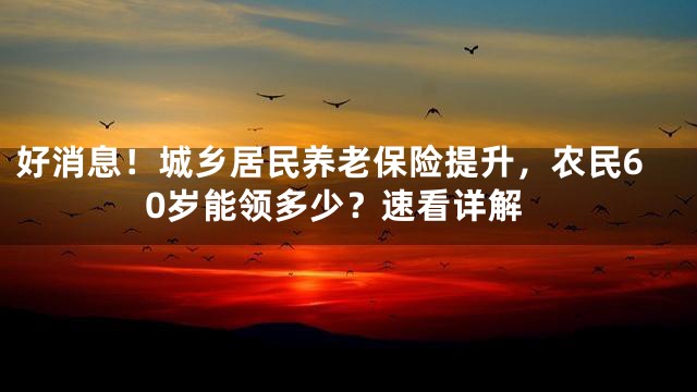 好消息！城乡居民养老保险提升，农民60岁能领多少？速看详解