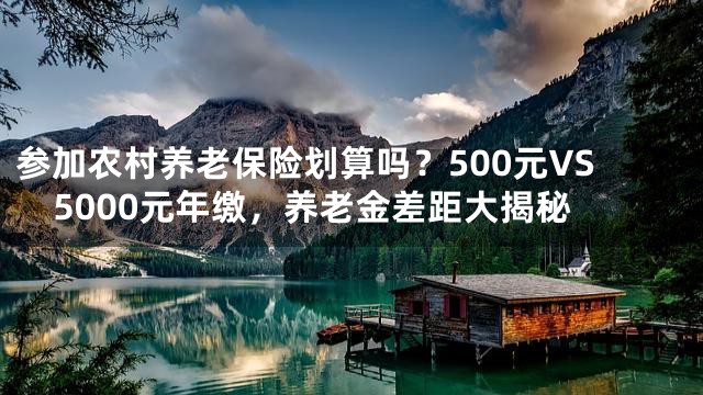 参加农村养老保险划算吗？500元VS5000元年缴，养老金差距大揭秘