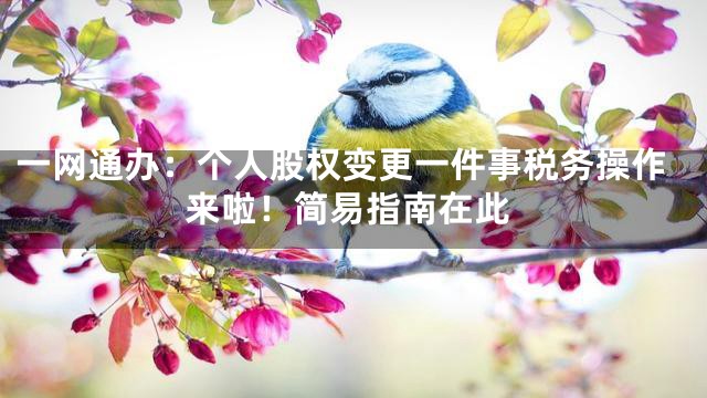 一网通办：个人股权变更一件事税务操作来啦！简易指南在此