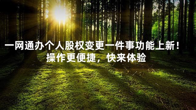 一网通办个人股权变更一件事功能上新！操作更便捷，快来体验
