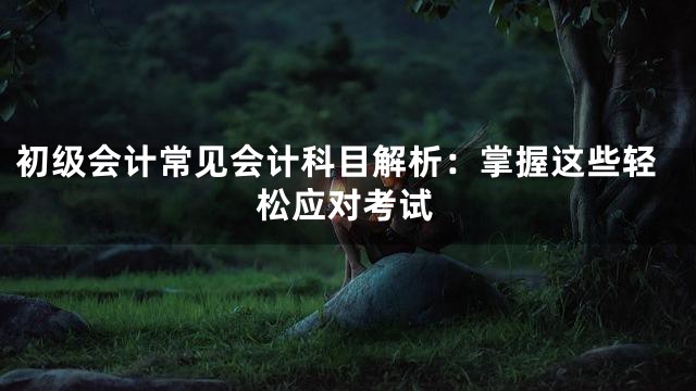 初级会计常见会计科目解析：掌握这些轻松应对考试