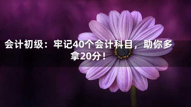会计初级：牢记40个会计科目，助你多拿20分！