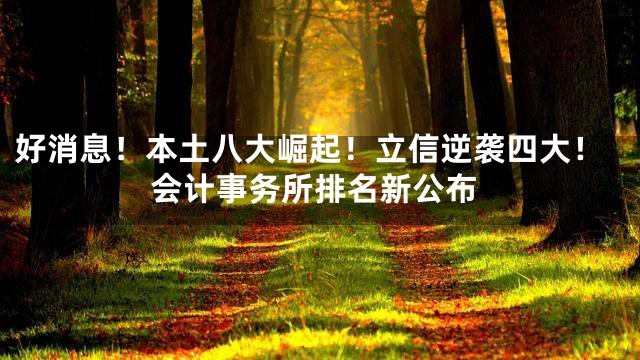 好消息！本土八大崛起！立信逆袭四大！会计事务所排名新公布