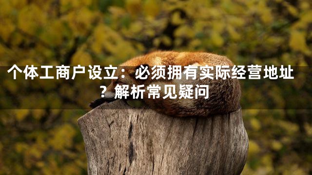 个体工商户设立：必须拥有实际经营地址？解析常见疑问