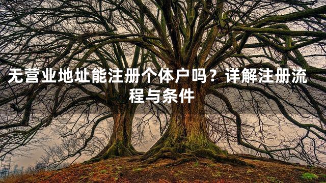 无营业地址能注册个体户吗？详解注册流程与条件