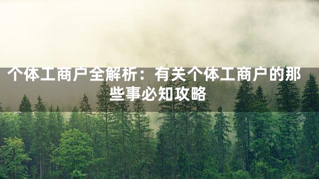 个体工商户全解析：有关个体工商户的那些事必知攻略