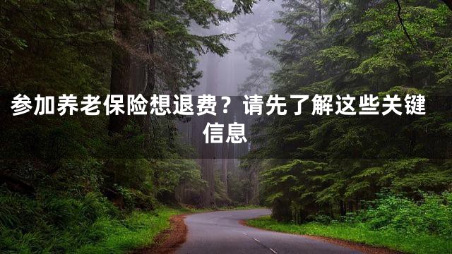 参加养老保险想退费？请先了解这些关键信息