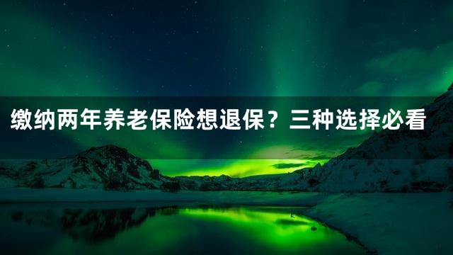 缴纳两年养老保险想退保？三种选择必看