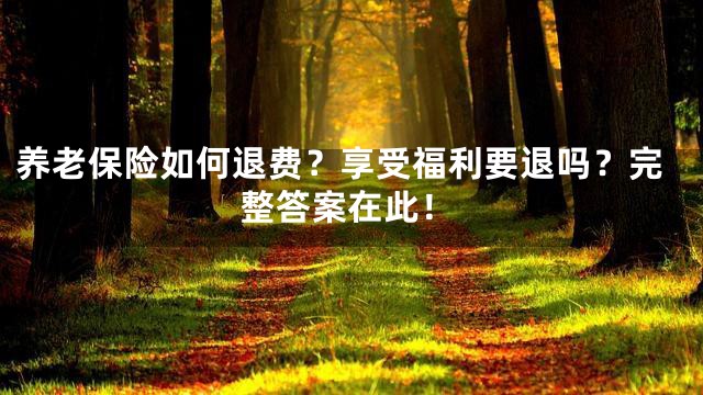 养老保险如何退费？享受福利要退吗？完整答案在此！