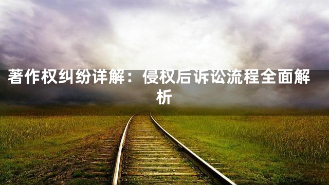 著作权纠纷详解：侵权后诉讼流程全面解析