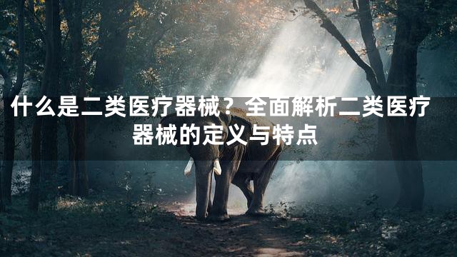 什么是二类医疗器械？全面解析二类医疗器械的定义与特点