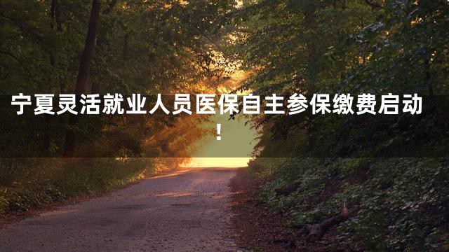 宁夏灵活就业人员医保自主参保缴费启动！