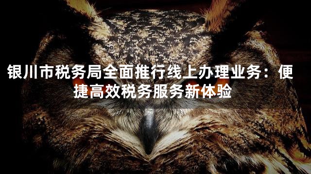 银川市税务局全面推行线上办理业务：便捷高效税务服务新体验
