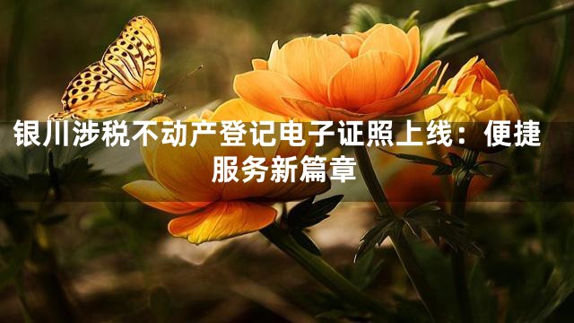 银川涉税不动产登记电子证照上线：便捷服务新篇章