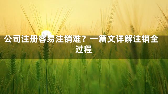 公司注册容易注销难？一篇文详解注销全过程