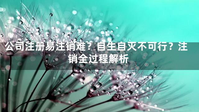 公司注册易注销难？自生自灭不可行？注销全过程解析
