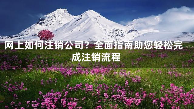 网上如何注销公司？全面指南助您轻松完成注销流程