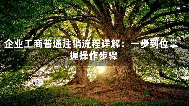 企业工商普通注销流程详解：一步到位掌握操作步骤