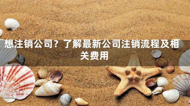 想注销公司？了解最新公司注销流程及相关费用