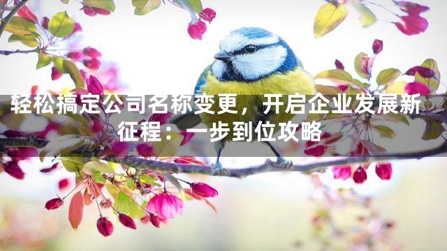 轻松搞定公司名称变更，开启企业发展新征程：一步到位攻略
