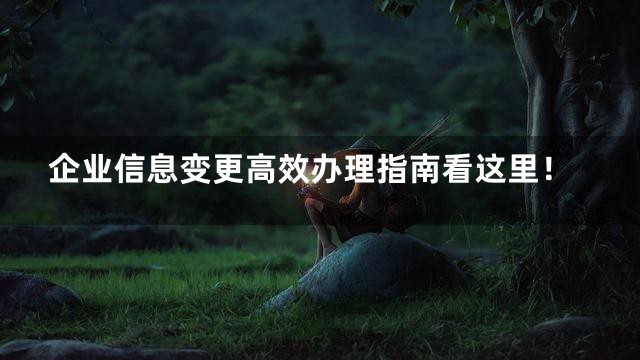 企业信息变更高效办理指南看这里！