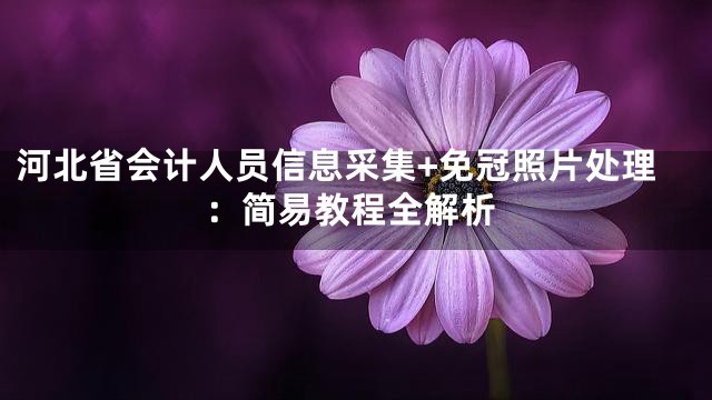 河北省会计人员信息采集+免冠照片处理：简易教程全解析