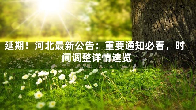 延期！河北最新公告：重要通知必看，时间调整详情速览