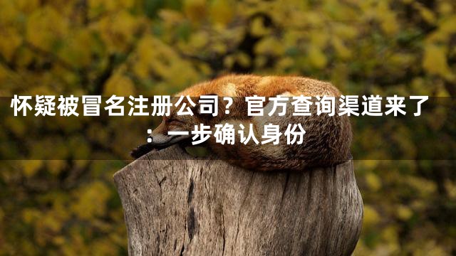 怀疑被冒名注册公司？官方查询渠道来了：一步确认身份