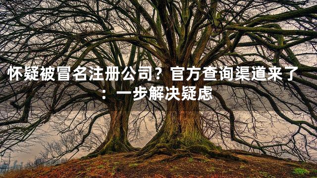 怀疑被冒名注册公司？官方查询渠道来了：一步解决疑虑