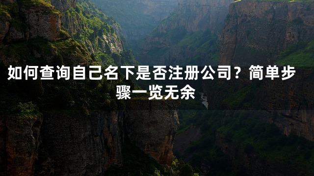 如何查询自己名下是否注册公司？简单步骤一览无余
