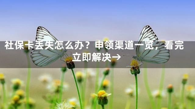 社保卡丢失怎么办？申领渠道一览，看完立即解决→