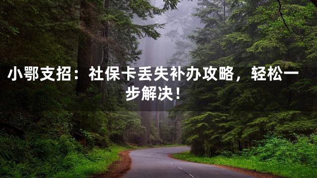 小鄂支招：社保卡丢失补办攻略，轻松一步解决！