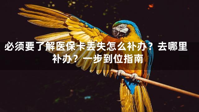 必须要了解医保卡丢失怎么补办？去哪里补办？一步到位指南