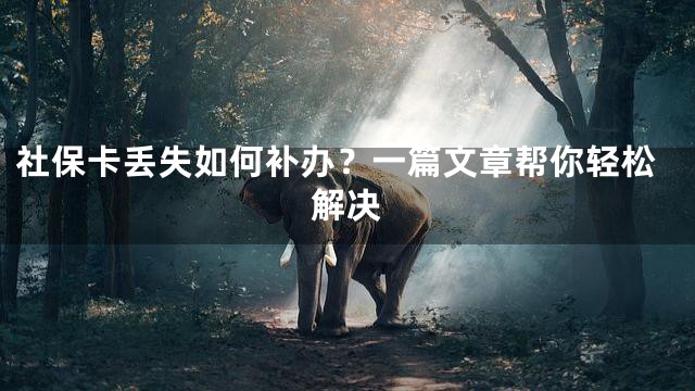 社保卡丢失如何补办？一篇文章帮你轻松解决