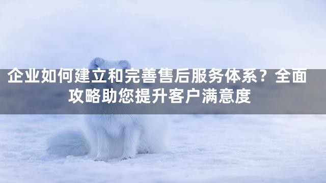企业如何建立和完善售后服务体系？全面攻略助您提升客户满意度