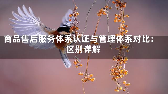 商品售后服务体系认证与管理体系对比：区别详解