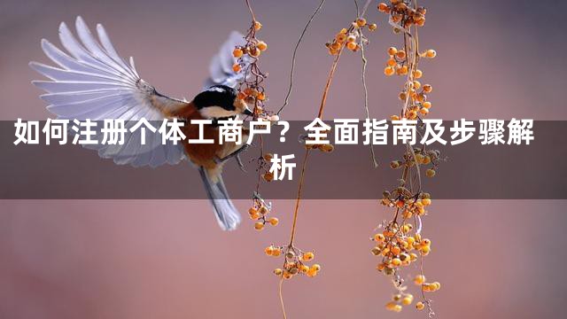 如何注册个体工商户？全面指南及步骤解析