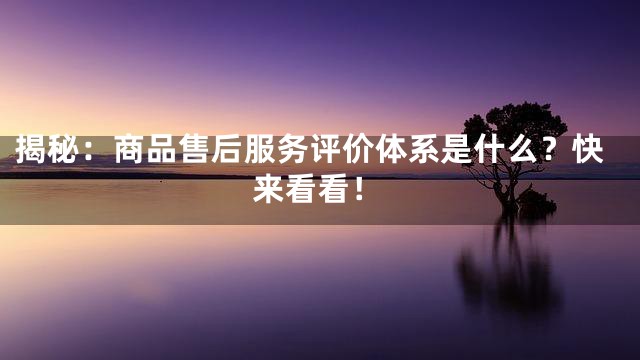 揭秘：商品售后服务评价体系是什么？快来看看！