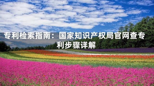专利检索指南：国家知识产权局官网查专利步骤详解